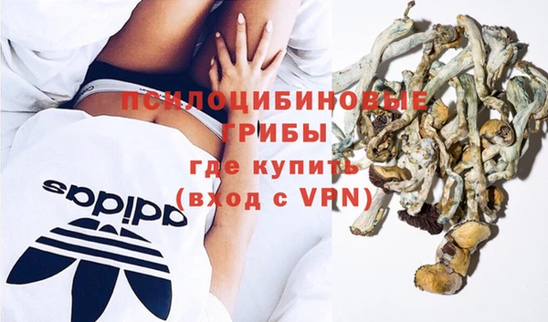 a pvp Вязники