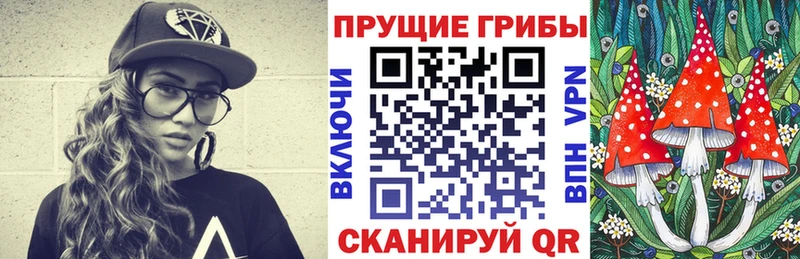 Псилоцибиновые грибы MAGIC MUSHROOMS Гвардейск